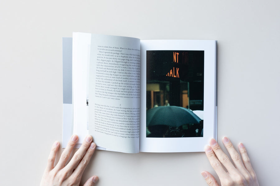 The Gould Collection Volume 2 by Saul Leiter & Paul Auster