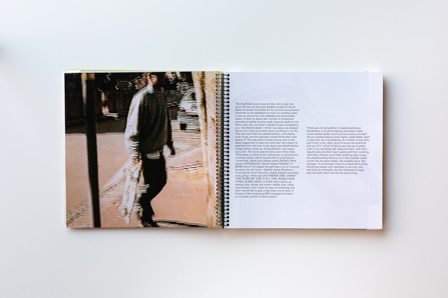 The Palace Book 本 Alasdair McLellan 2016 977127690.jpg