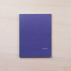Wiel Arets