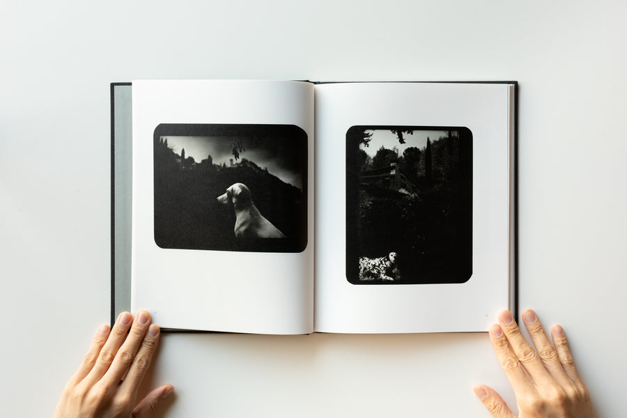 (Signed) The Animals by Giacomo Brunelli