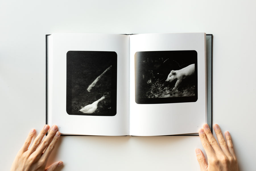 (Signed) The Animals by Giacomo Brunelli