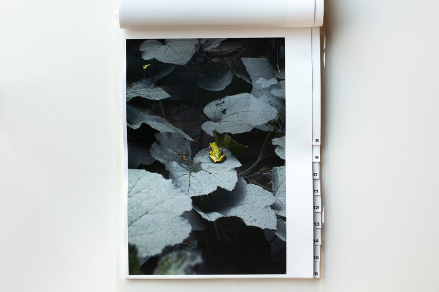 almost nothing by Naoya Hata