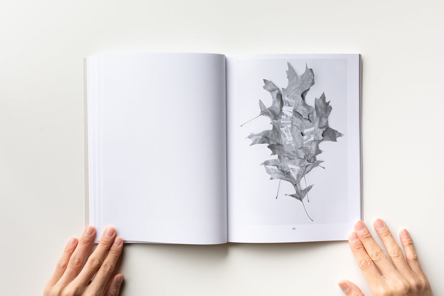 rock-paper-roots by Géraldine Jeanjean