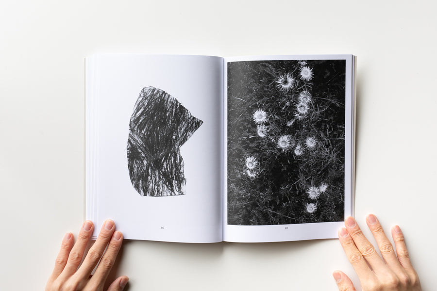rock-paper-roots by Géraldine Jeanjean