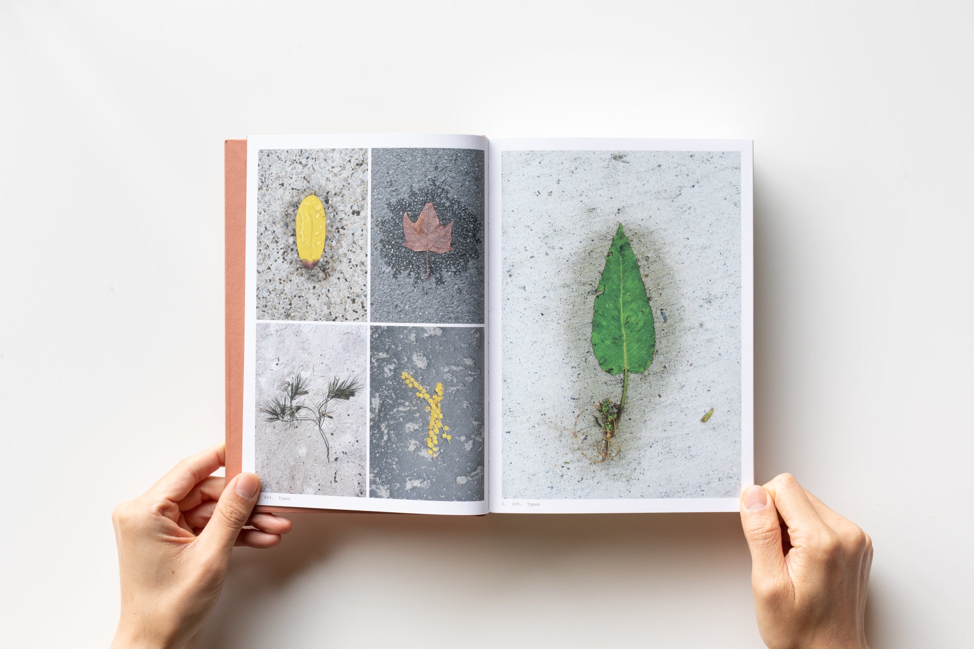 Book of Plants by Anne Geene – IACK