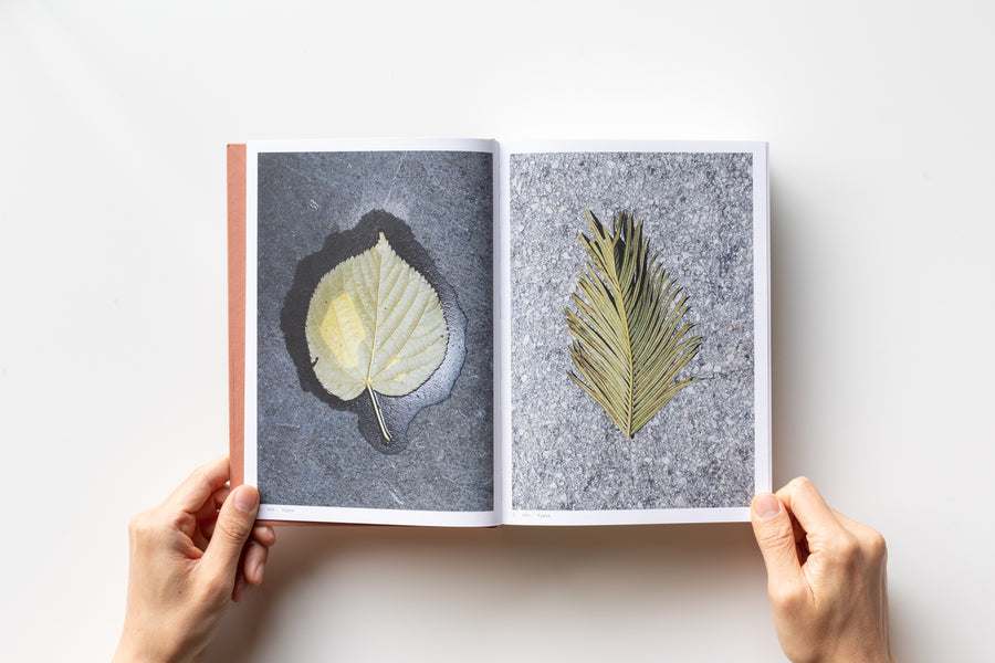 Book of Plants by Anne Geene