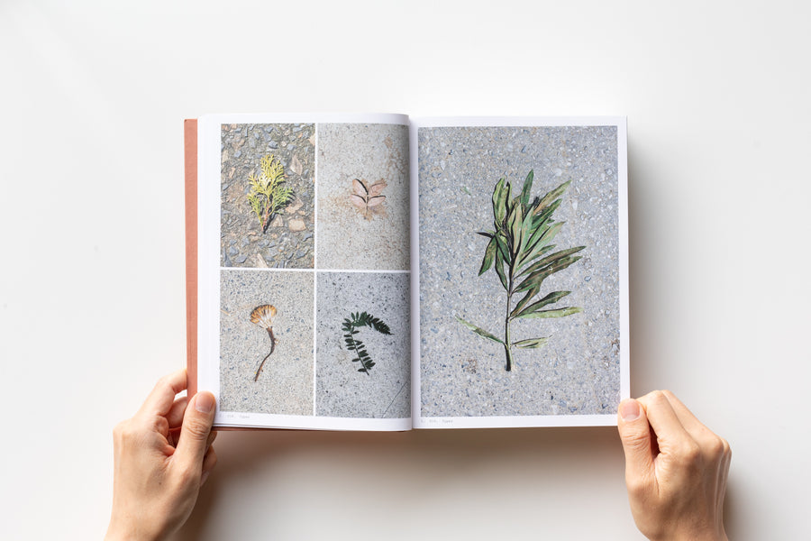 Book of Plants by Anne Geene