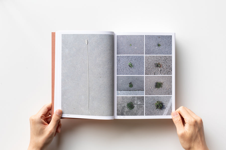 Book of Plants by Anne Geene