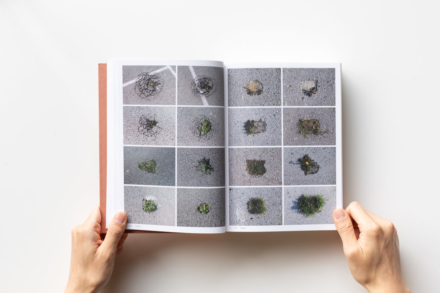 Book of Plants by Anne Geene