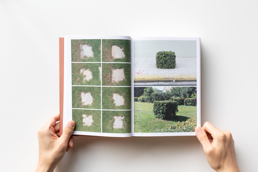 Book of Plants by Anne Geene