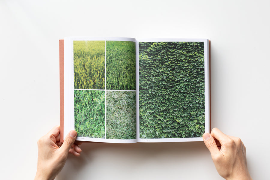 Book of Plants by Anne Geene