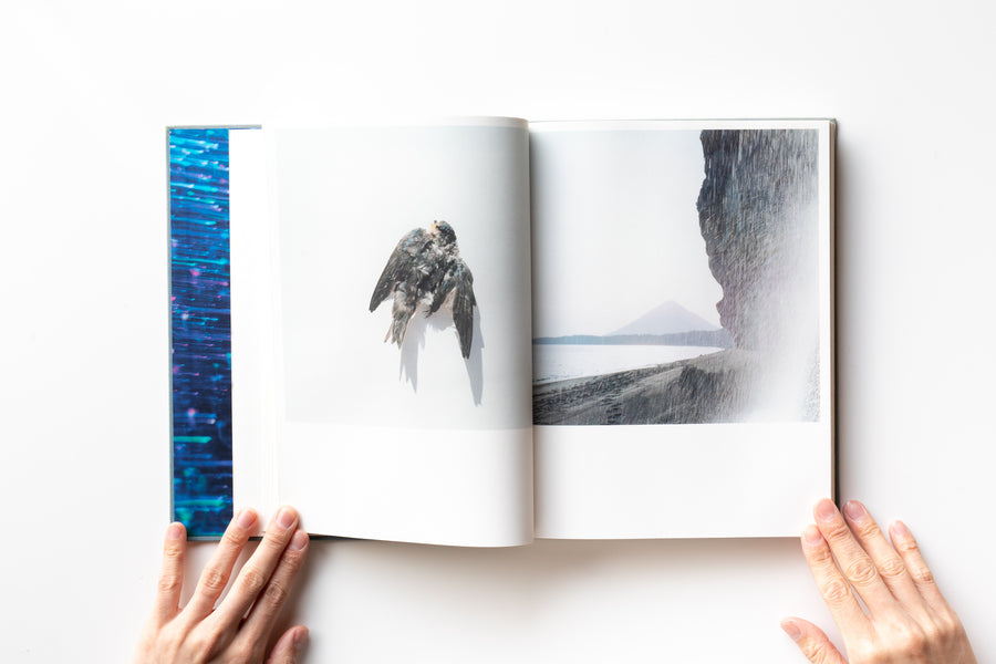 (First Edition) Illuminance by Rinko Kawauchi