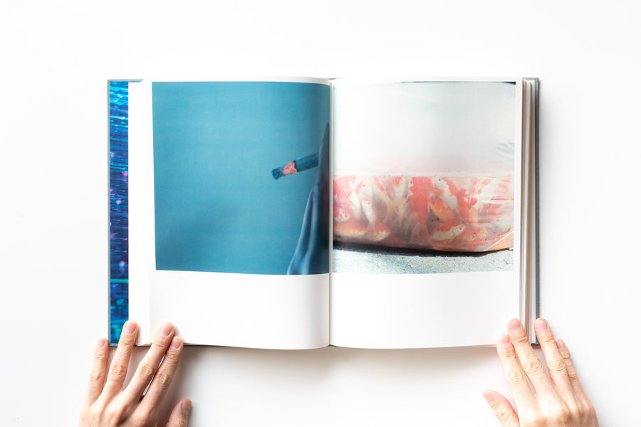 (First Edition) Illuminance by Rinko Kawauchi