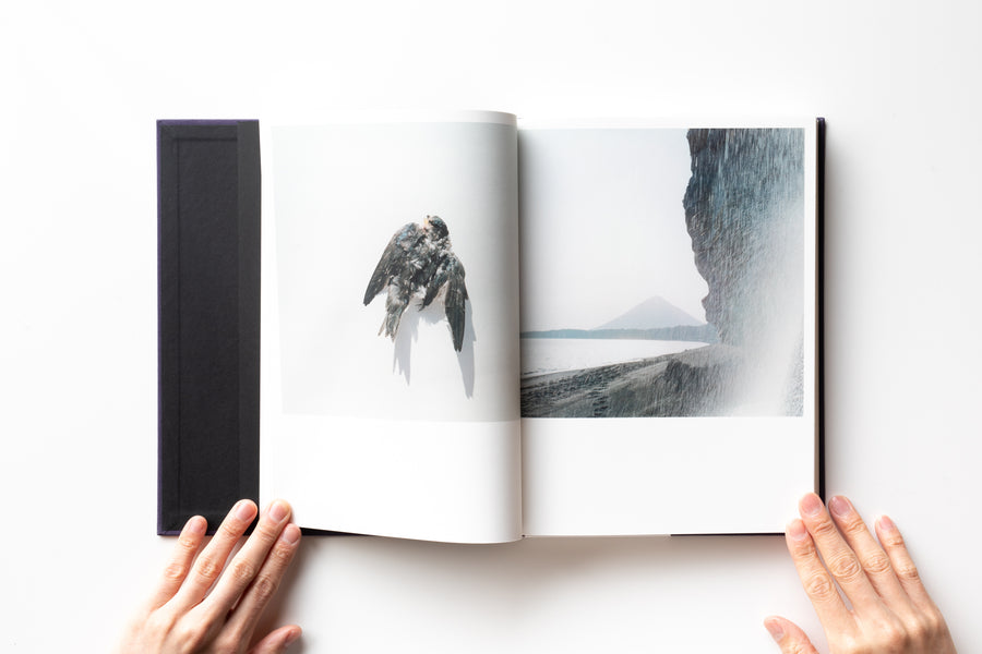 (Tenth Anniversary Edition) Illuminance by Rinko Kawauchi