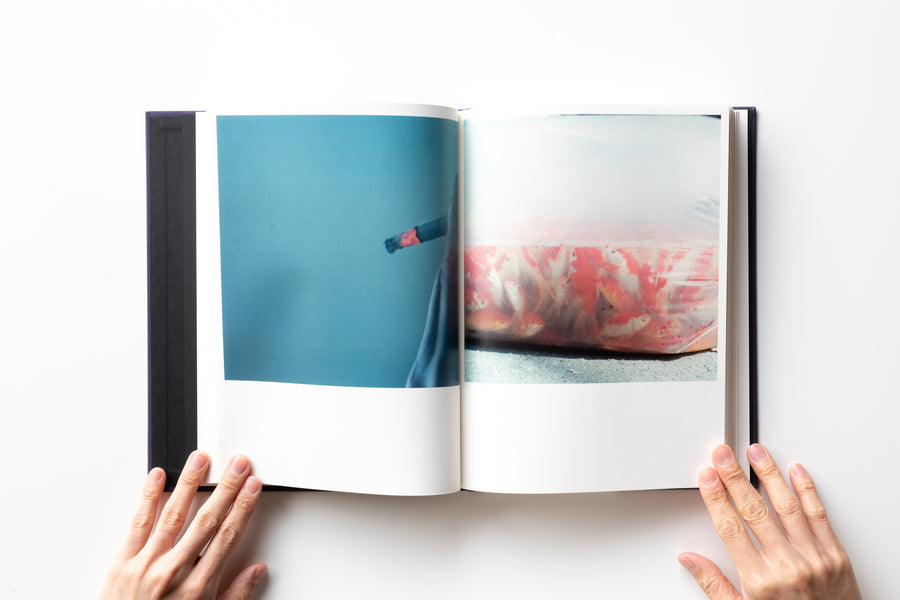 (Tenth Anniversary Edition) Illuminance by Rinko Kawauchi