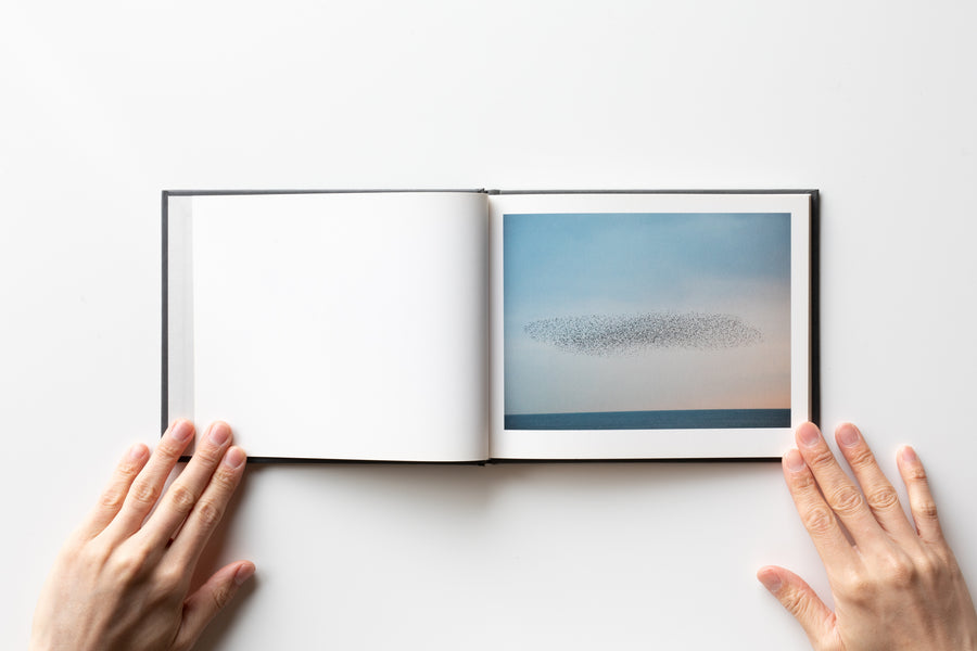 Murmuration by Rinko Kawauchi