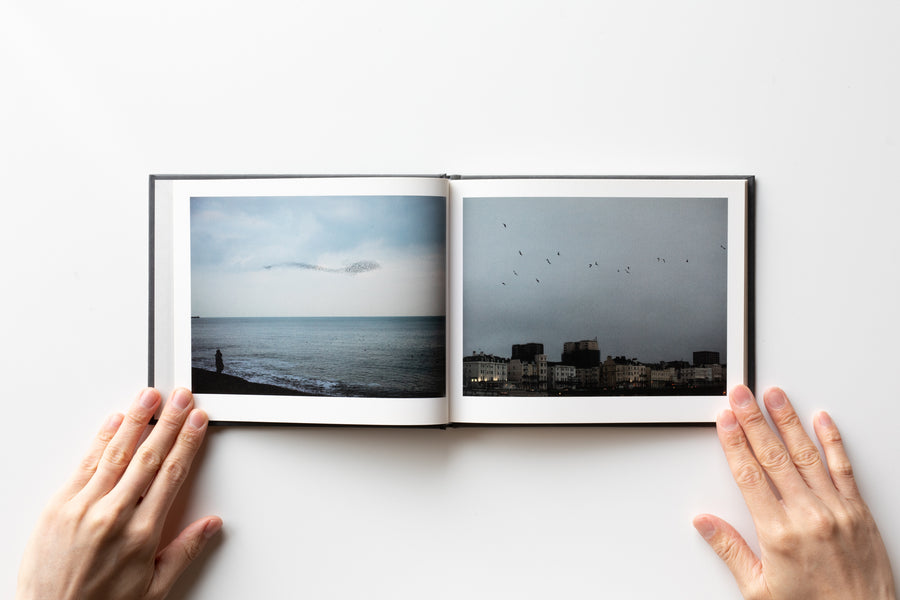 Murmuration by Rinko Kawauchi