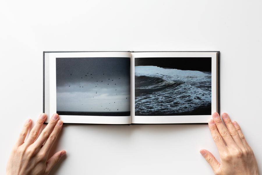 Murmuration by Rinko Kawauchi