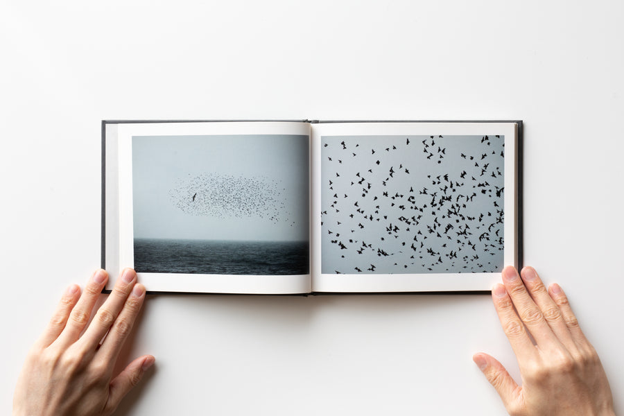 Murmuration by Rinko Kawauchi