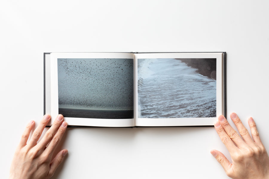 Murmuration by Rinko Kawauchi