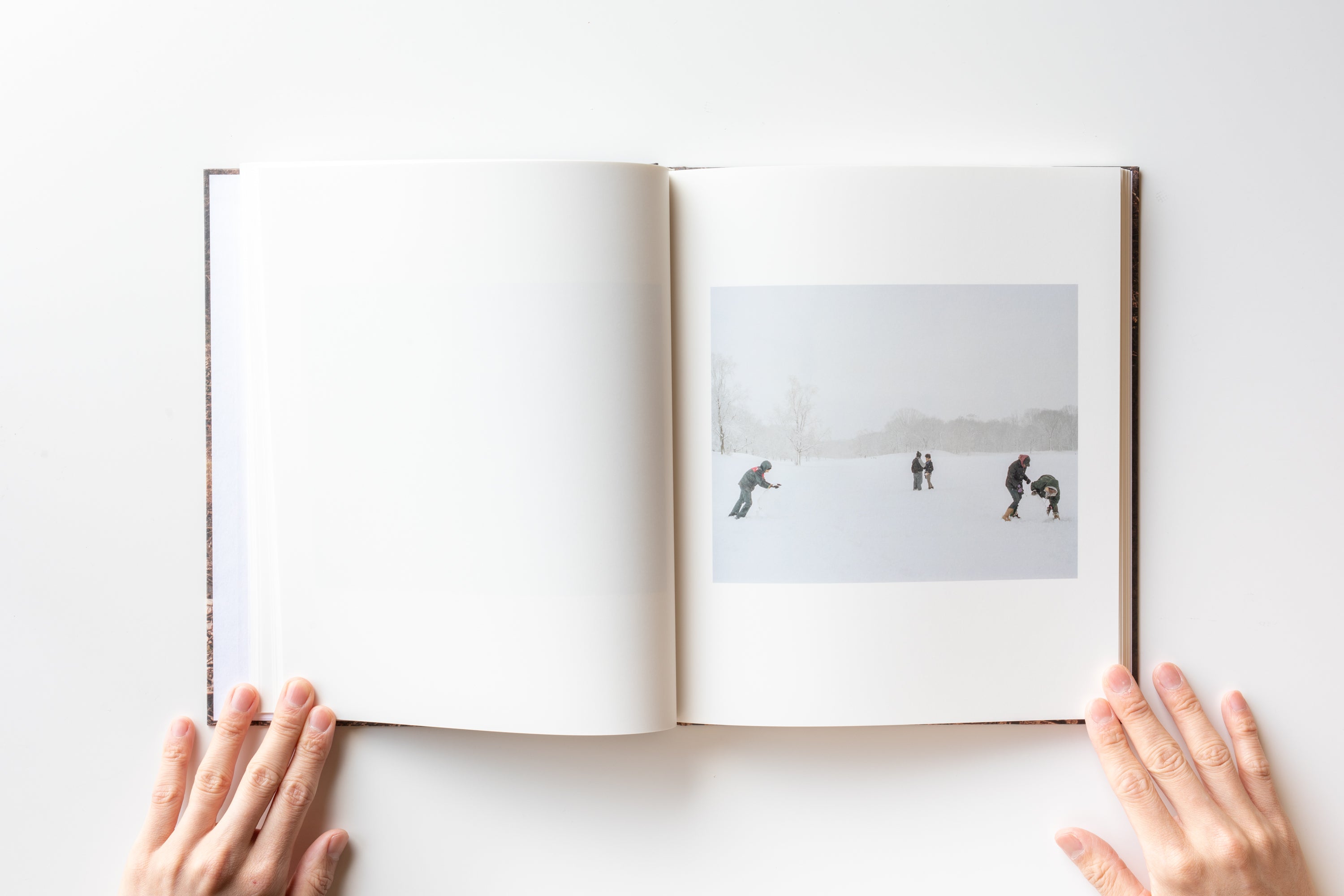 In Plain Air by Irina Rozovsky – IACK