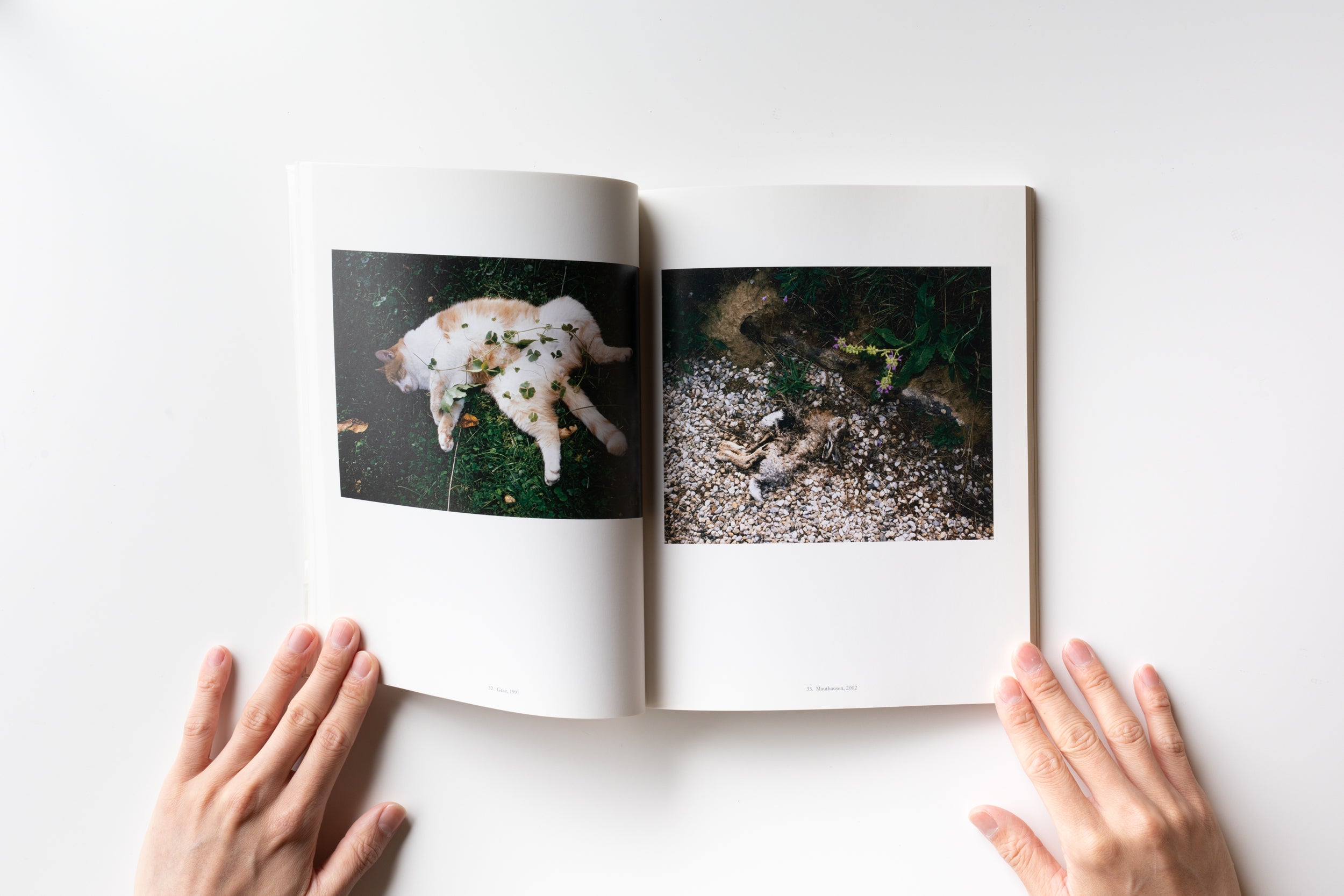 8 1/2 Memoire メモワール 8 1/2 Memoire メモワール