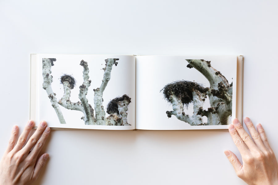 (Signed) Empty Nests by Atsuko Murano Abalos