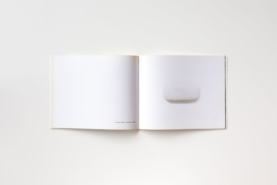 Ruthbook by Nigel Shafran