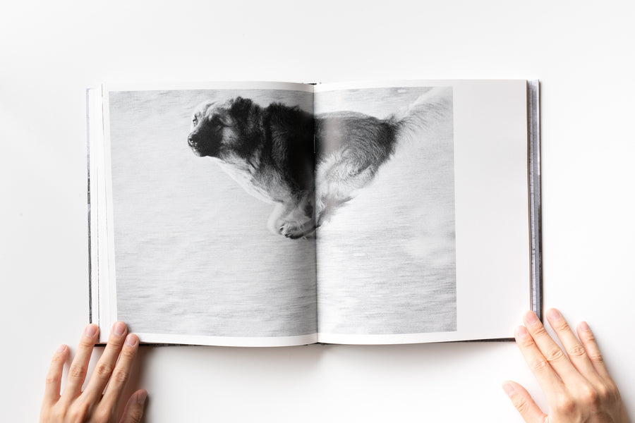 SCAPES by John Divola
