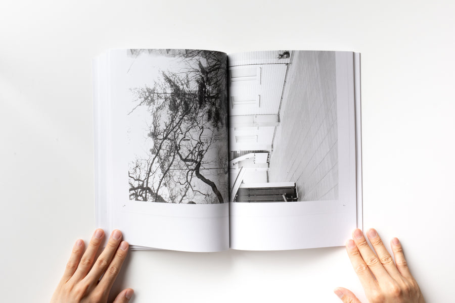 The Country of the Rising Sun by Shinji Otani