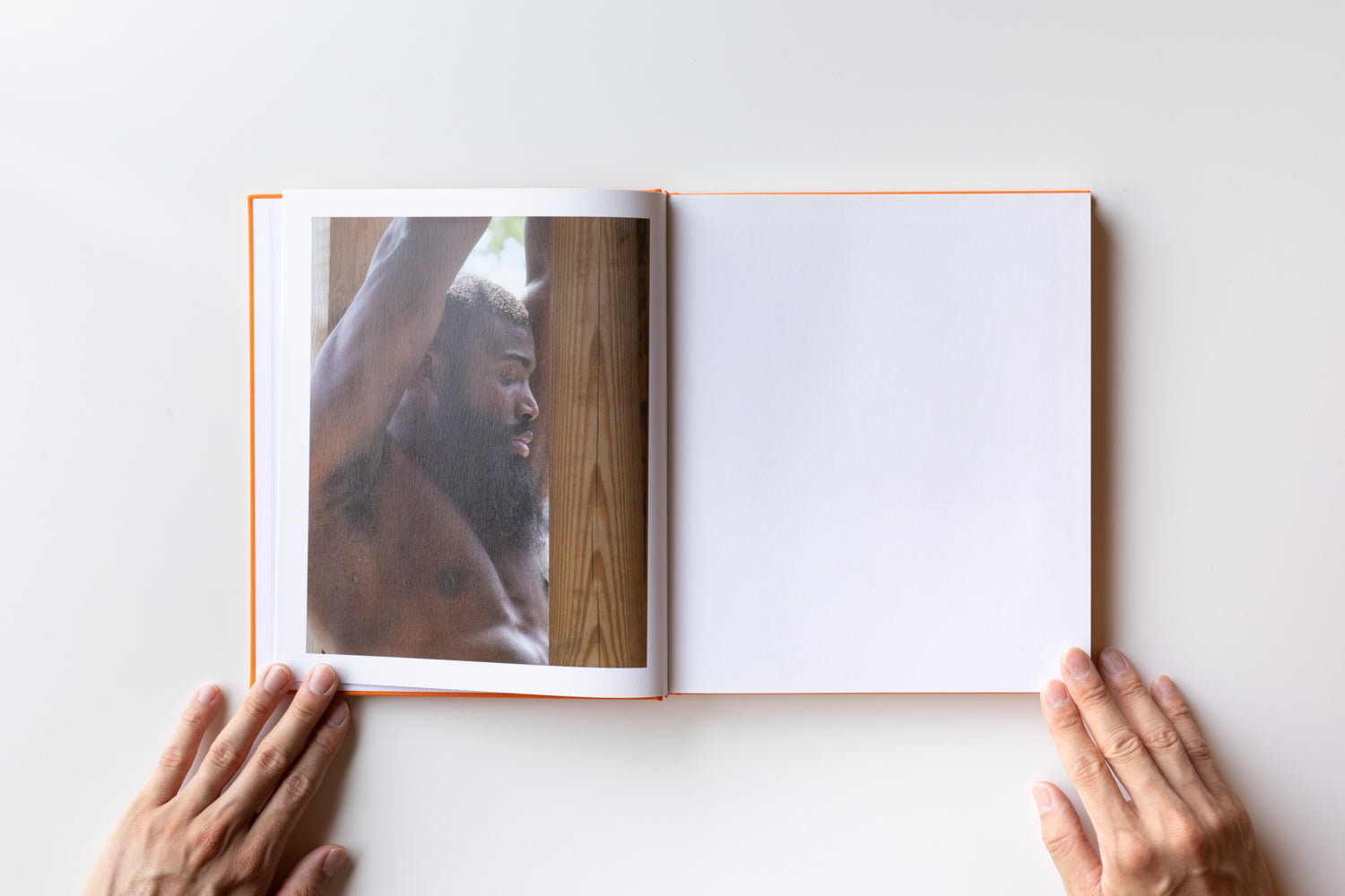 Mint) Vanilla Partner by Torbjørn Rødland – IACK