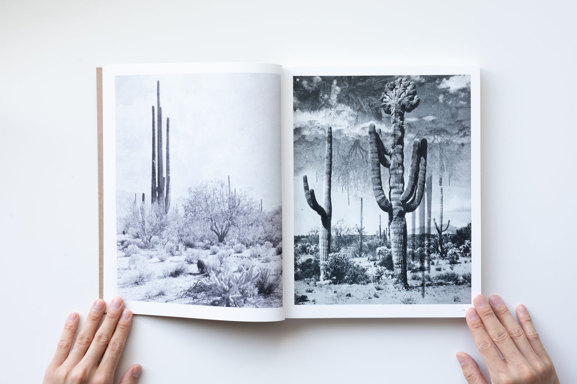 2X6A9876_4100x.jpg?v=1630124441