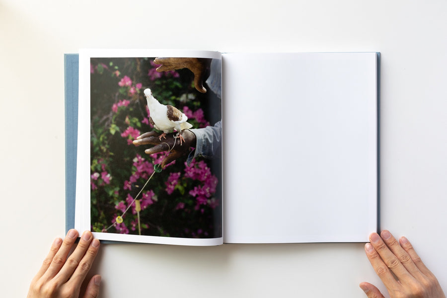 ZZYZX by Gregory Halpern