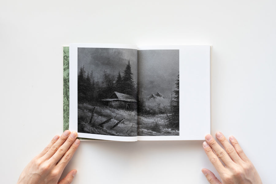 The Disappearance of Joseph Plummer by Amani Willett