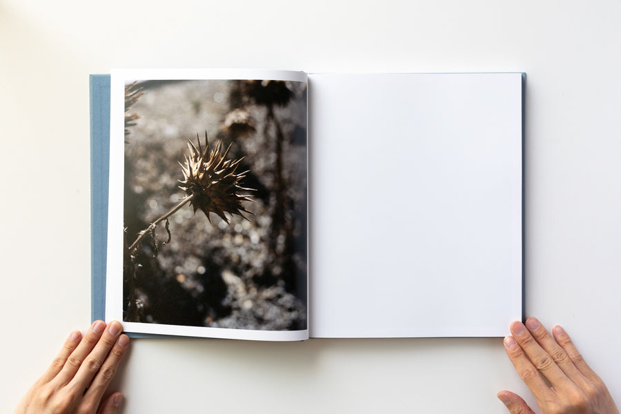 ZZYZX by Gregory Halpern