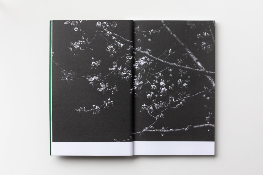 (Signed) Tokyo Stories by Elodie Grethen