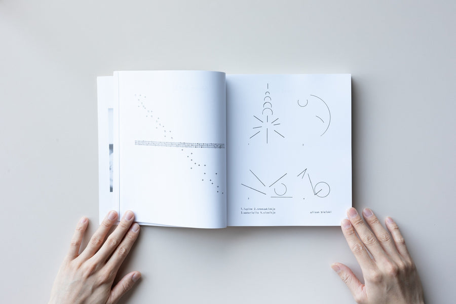 (Imperfect) Women in Concrete Poetry: 1959-1979