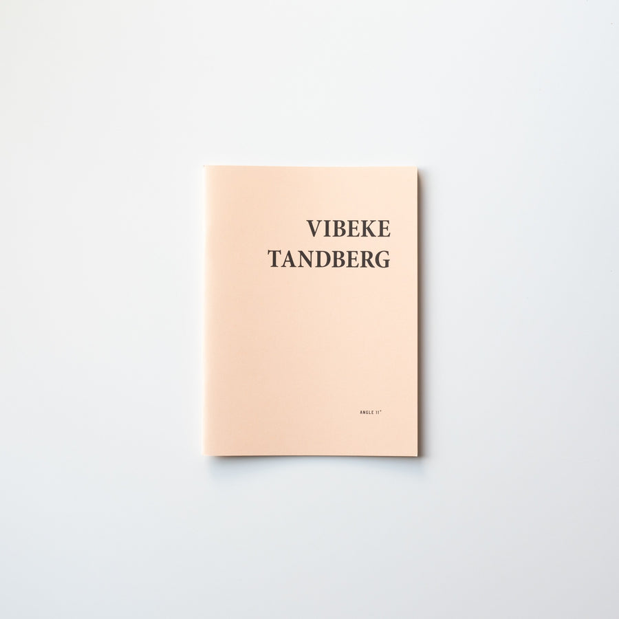 Angle 11 by Vibeke Tandberg