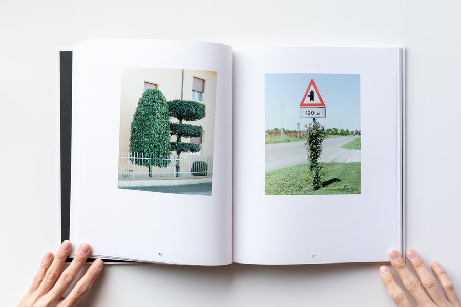 ALBERI by Guido Guidi & GF93