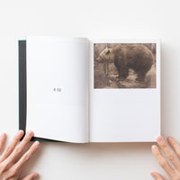 Signed) Nude Animal Cigar by Paul Kooiker – IACK