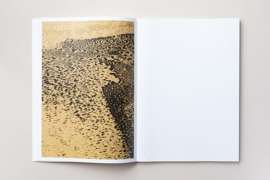 Catalogue 2012 by Thomas Ruff