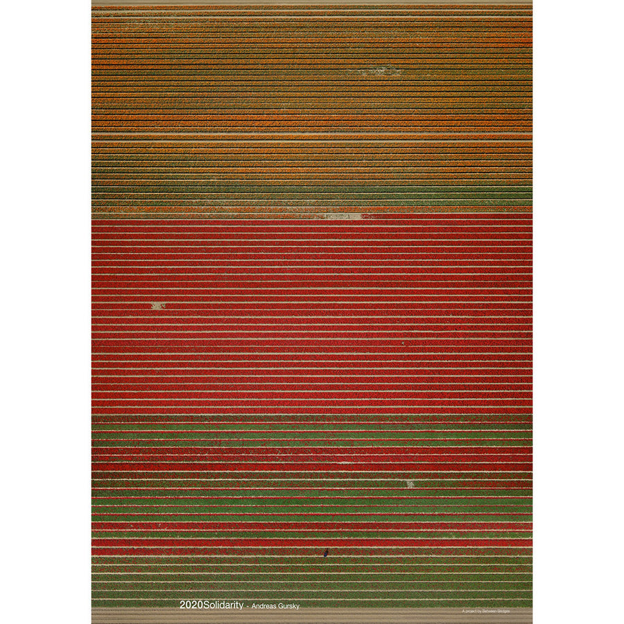 2020Solidarity Poster: Andreas Gursky