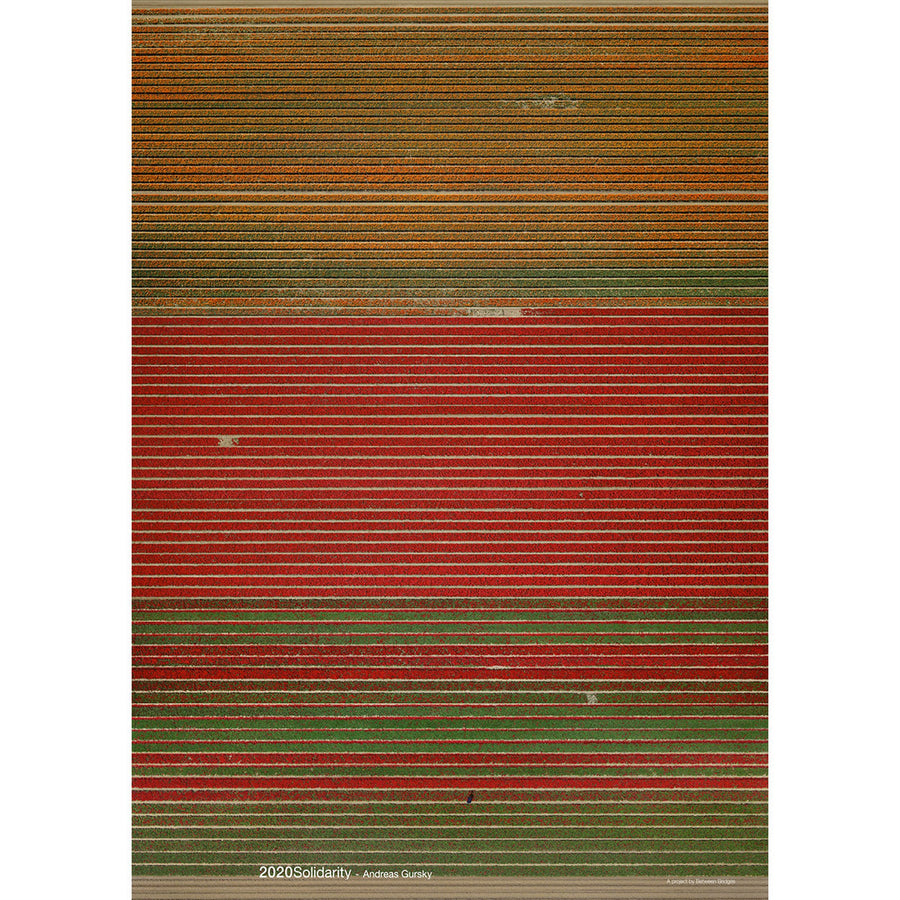 2020Solidarity Poster: Andreas Gursky