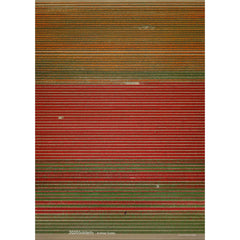 2020 Solidarity Poster: Andreas Gursky