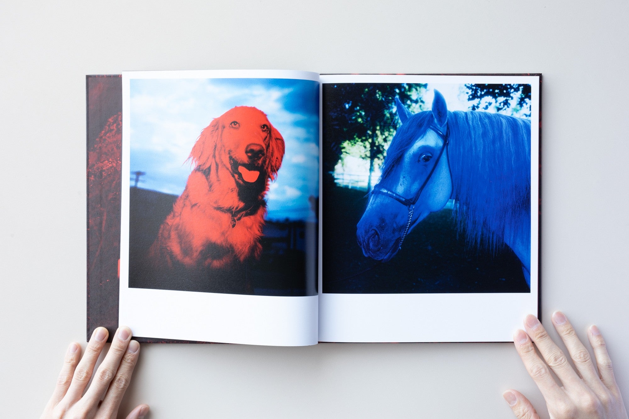 CHROMA by John Divola | IACK