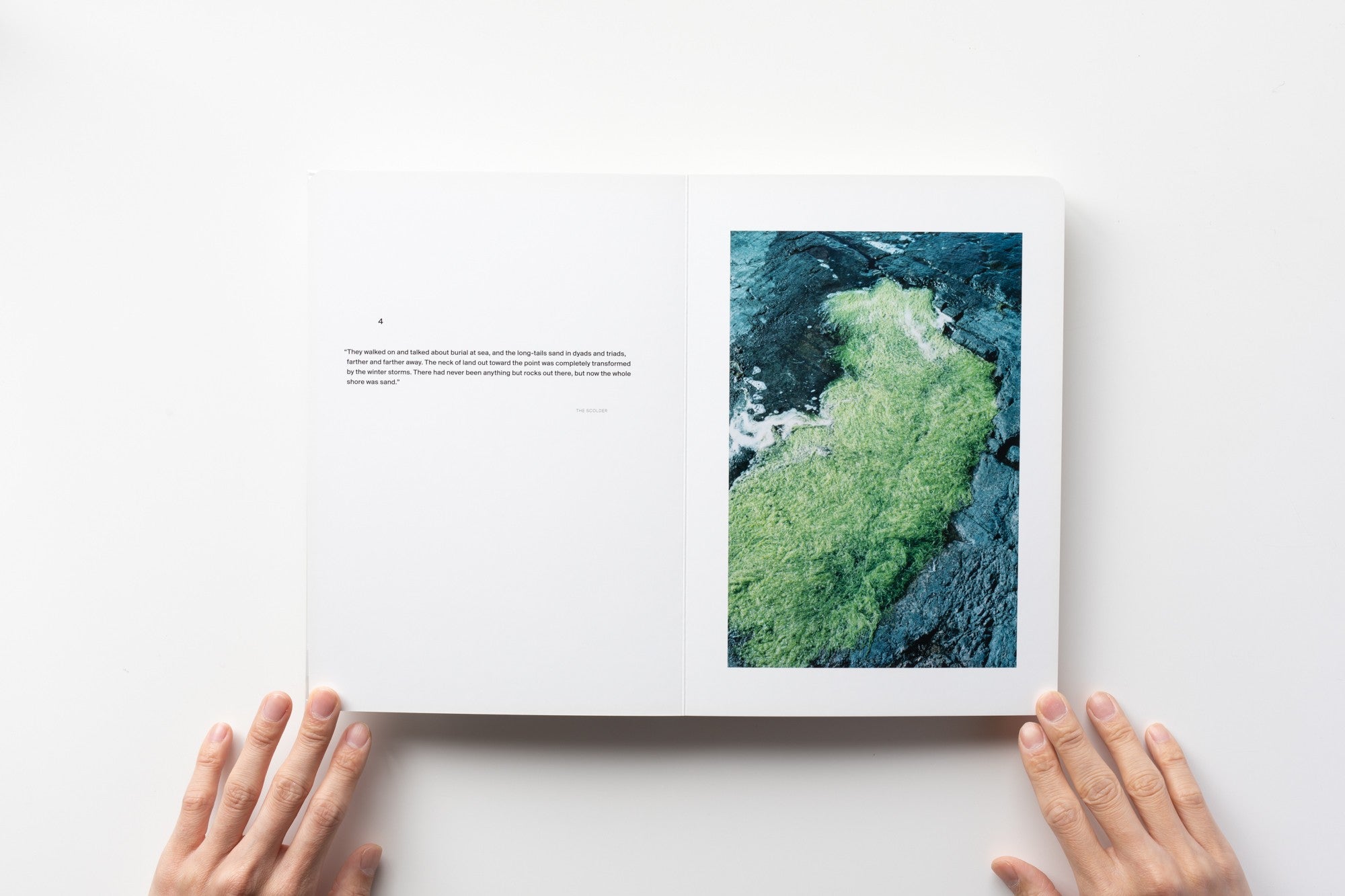 Mint) A Song For Windows by Takashi Homma | IACK