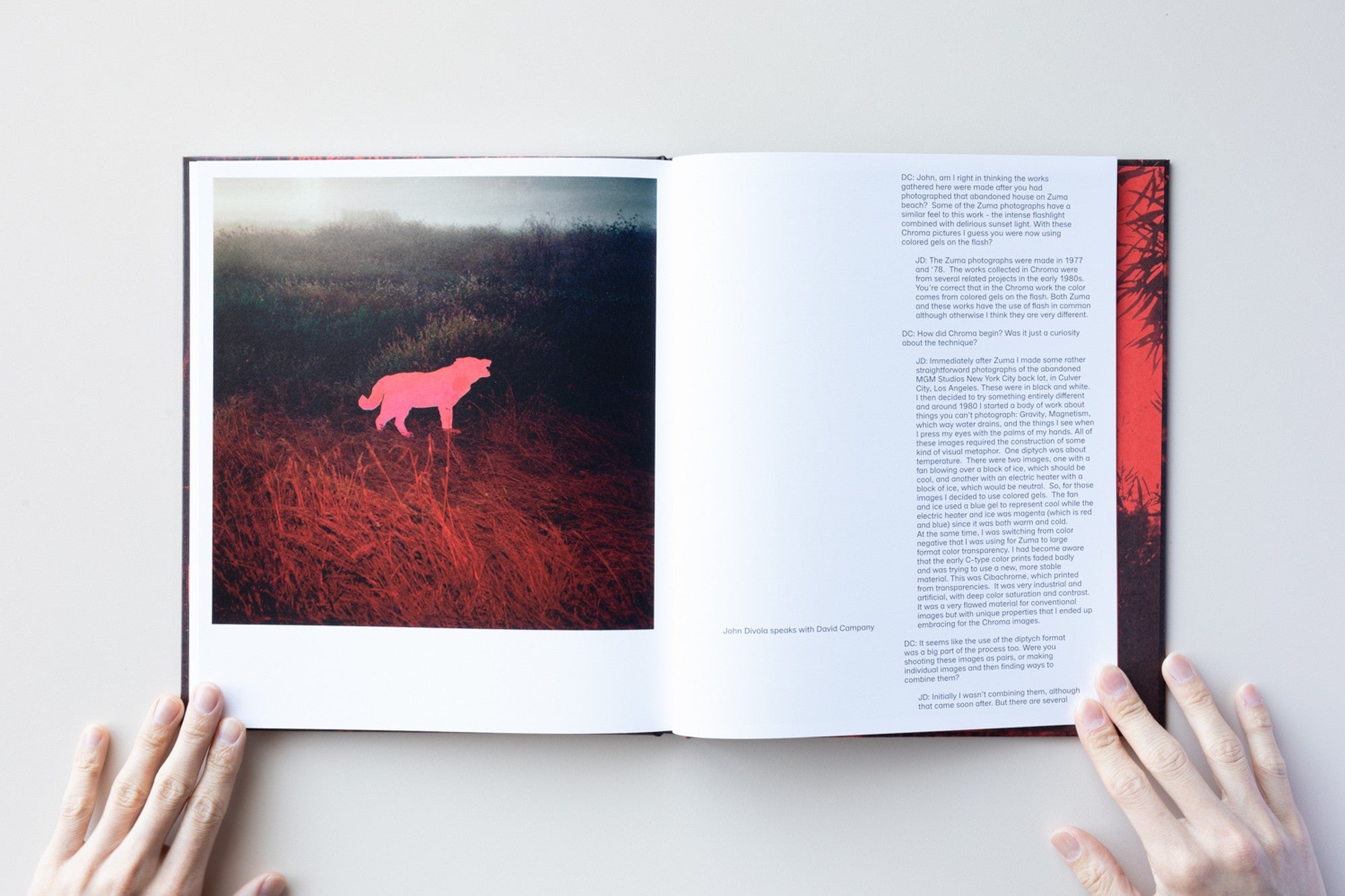 CHROMA by John Divola – IACK