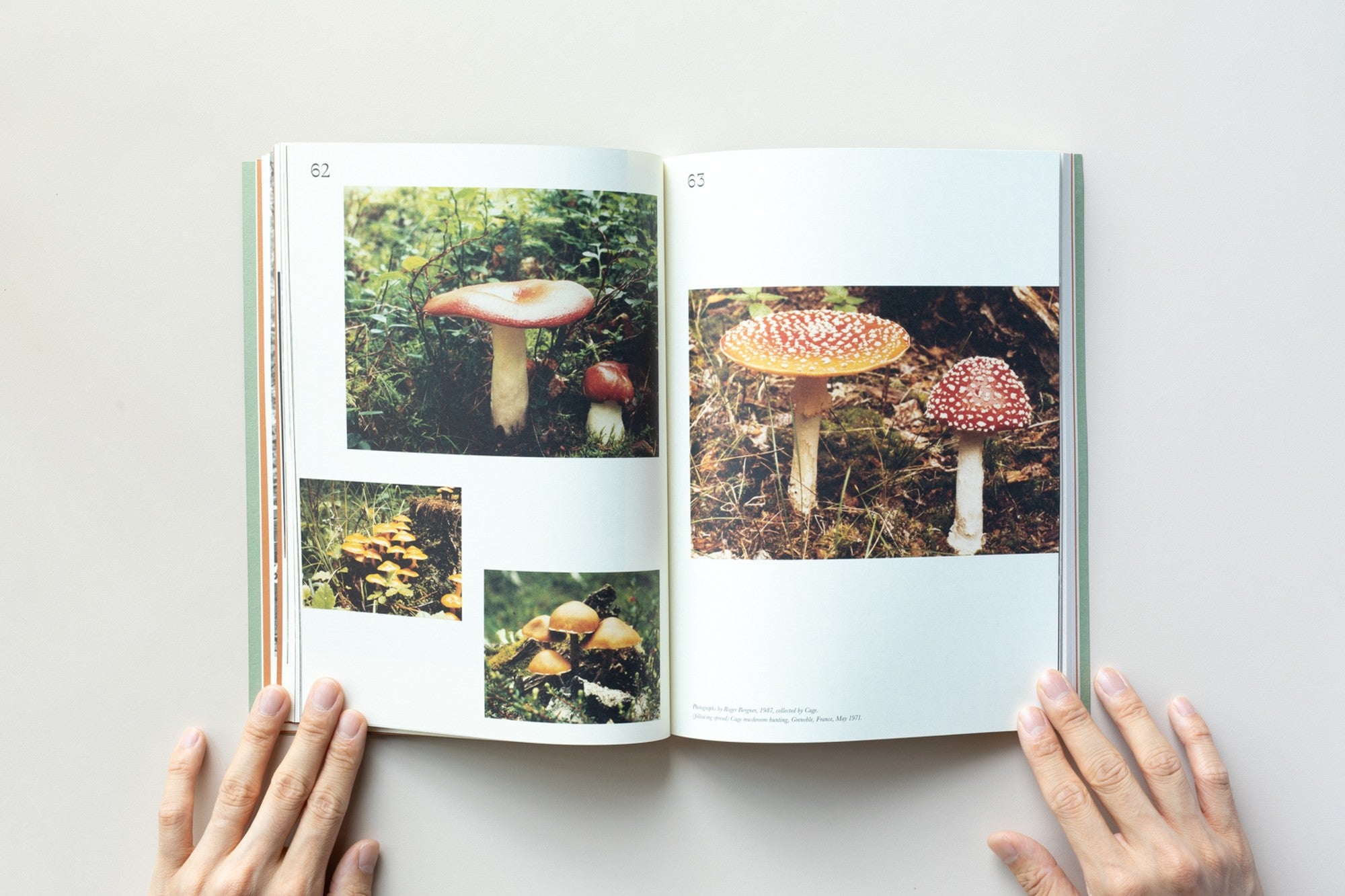 A Mycological Foray by John Cage – IACK
