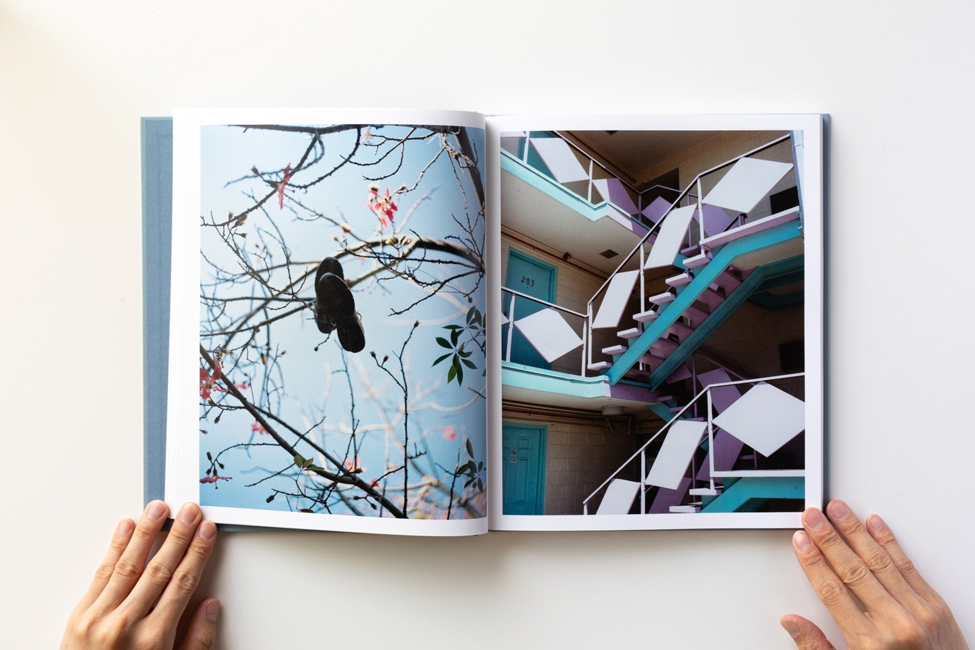 Photography: A 21st Century Practice 洋書 Photography: A 21st Century Practice: Chen, Mark, Shannon