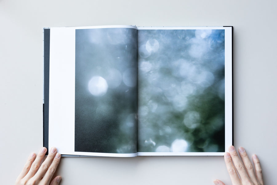 Known and Strange Things Pass by Andy Sewell